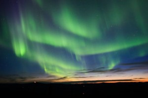 zavioji aurora