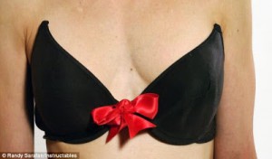 bra