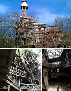 giant-tree-house